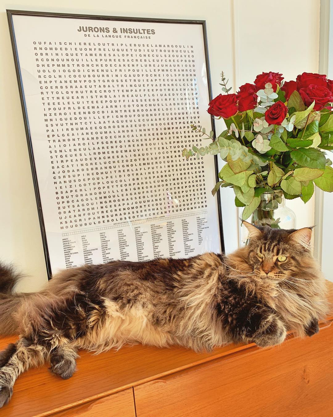 Photo by Cloé on February 16, 2019.