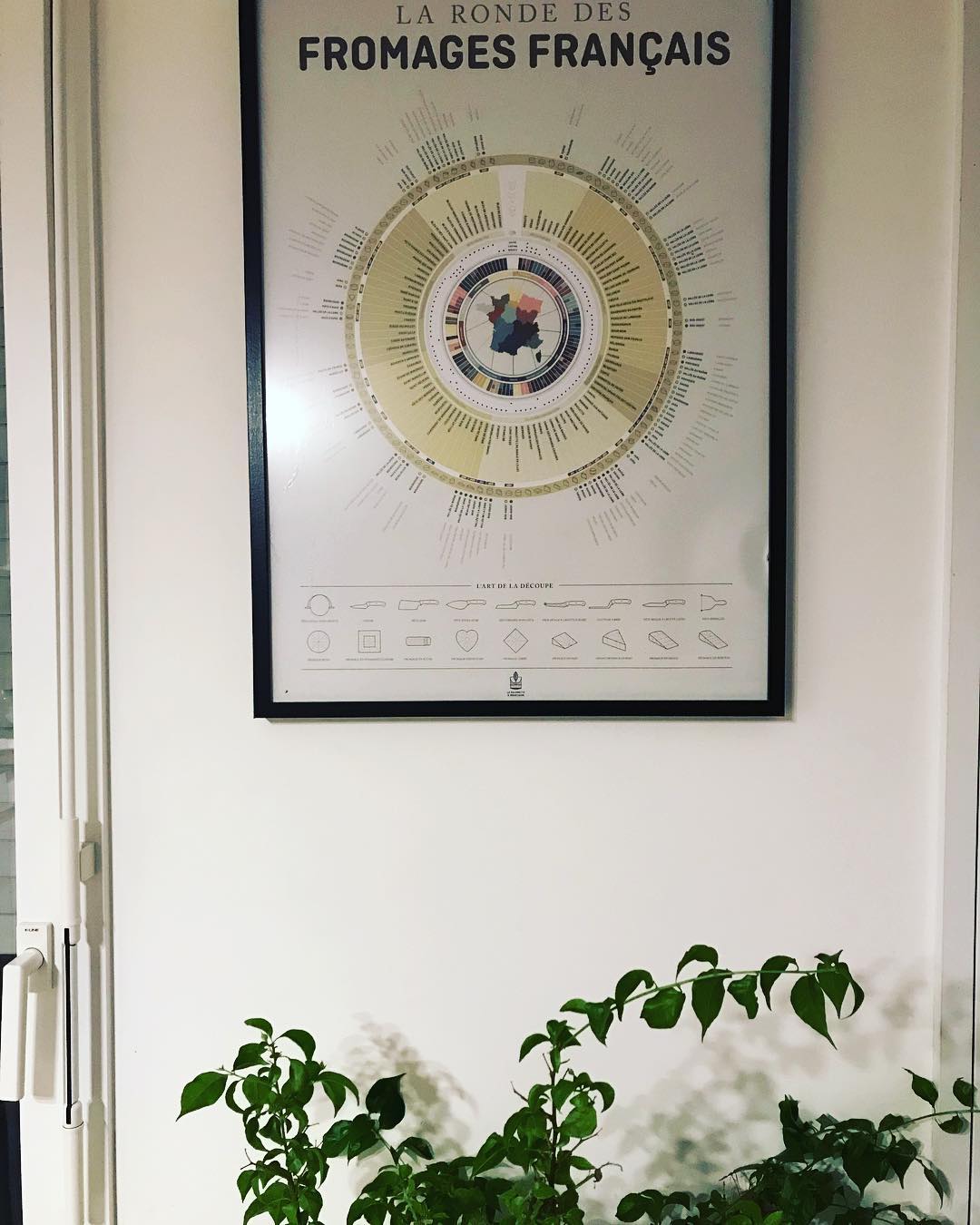 Photo shared by Morgane Messager on March 09, 2019 tagging @lamajoretteamoustache.