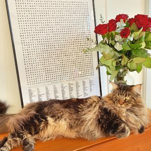 Photo by Cloé on February 16, 2019.