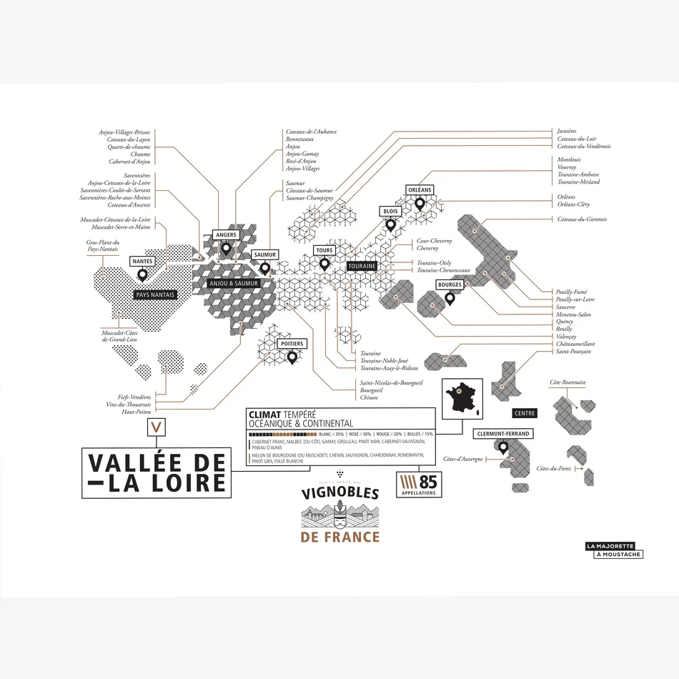 Vignoble de la Vallée de la Loire