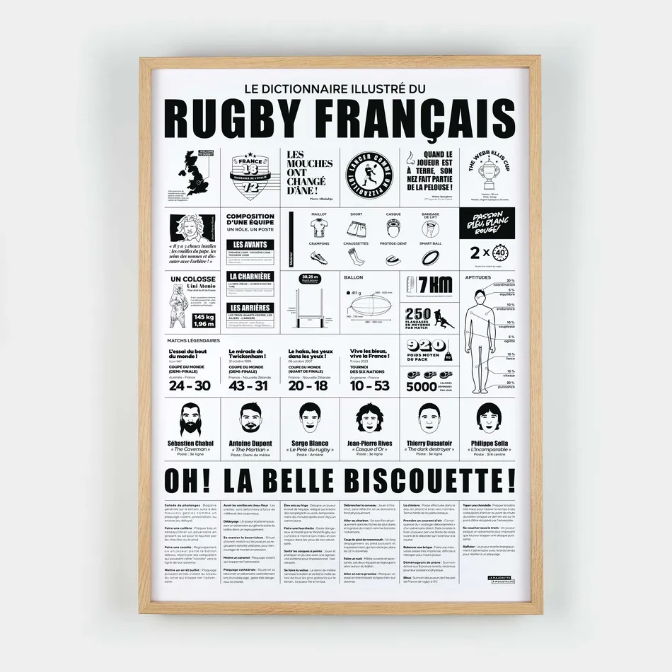 Dictionnaire illustré du rugby français