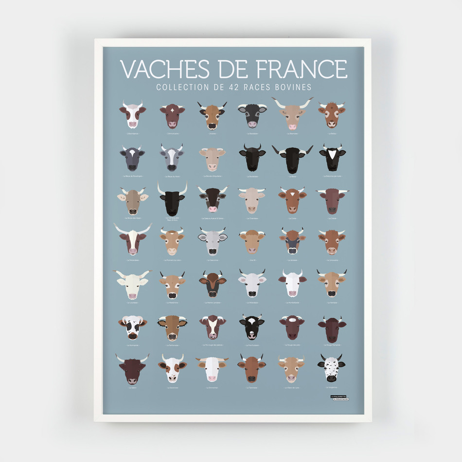Vaches de France