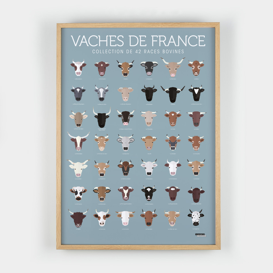 Vaches de France