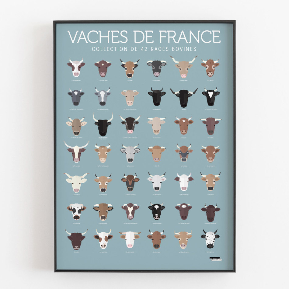 Vaches de France