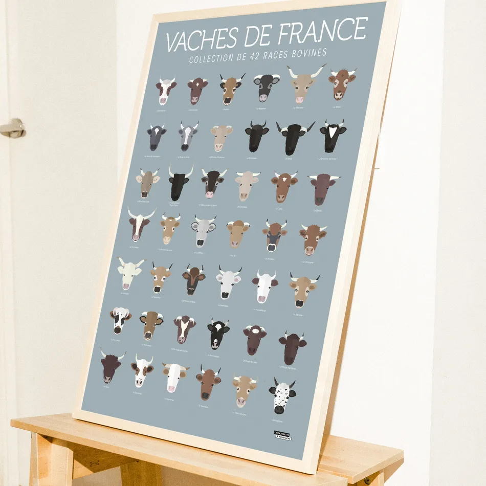 Vaches de France