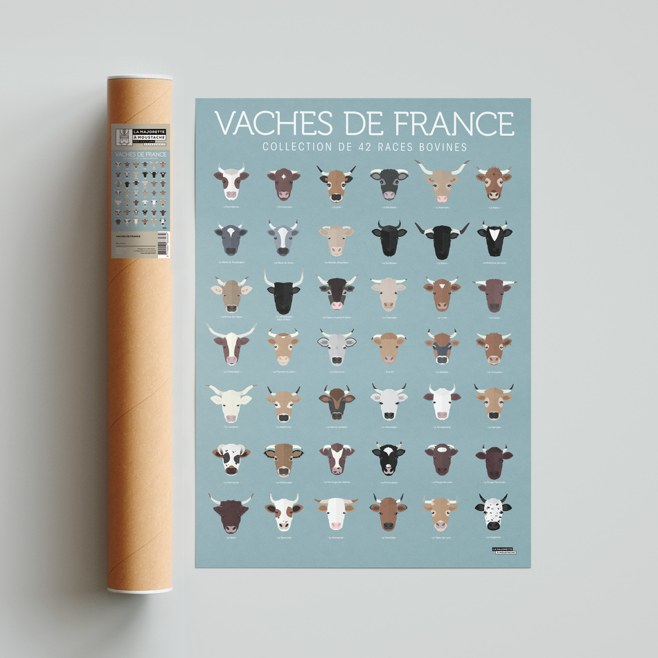 Vaches de France