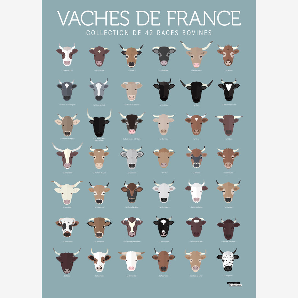 Vaches de France