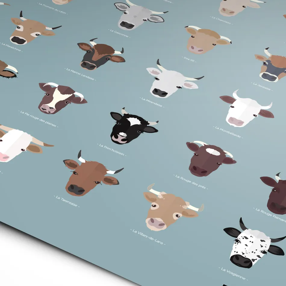 Vaches de France