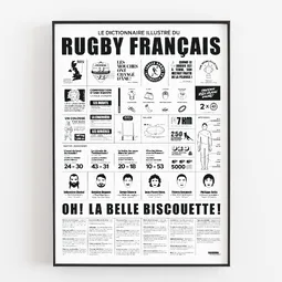Dictionnaire illustré du rugby français