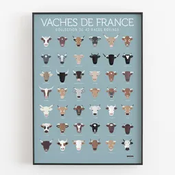 Vaches de France